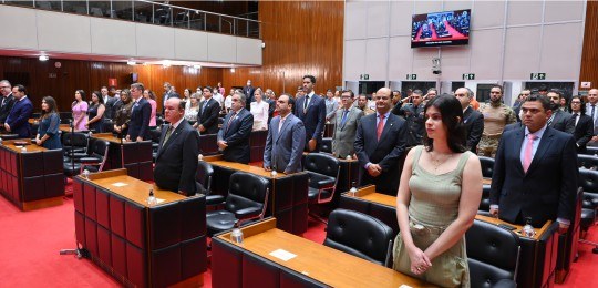 Plateia no plenário da ALMG, com diversas pessoas de pé durante execução do Hino Nacional.