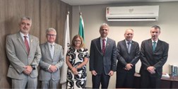 Des. Paulo Calmon, des. Sálvio Chaves, juíza Cláudia Helena Batista, des. Carlos Henrique Perpét...