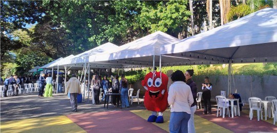 Foto mostra tendas brancas instaladas em um parque.