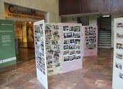 Exposição - Estamos na memória - Dia do servidor