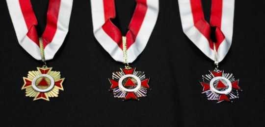 Insignias-ordem-merito