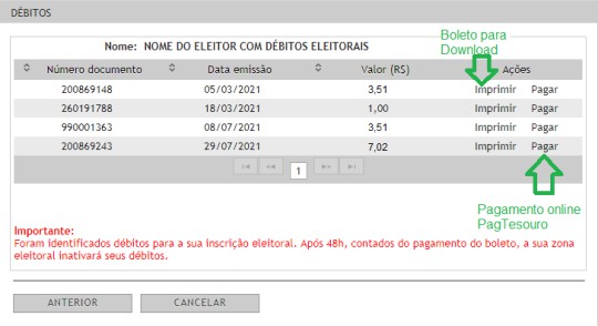 Print de tela do Título Net, mostrando débitos de um eleitor