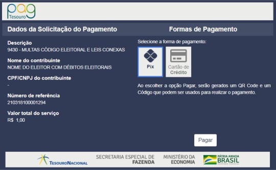 Print de tela da plataforma PagTesouro